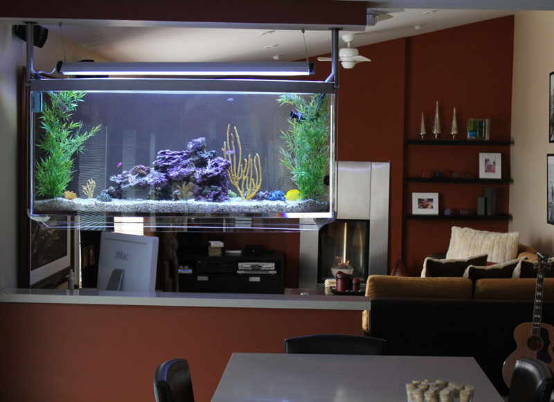 Aquarium Effects - Aquarium Design and Installation Services in ...