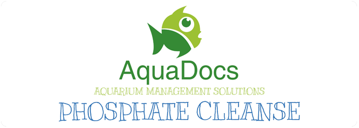 Aquarium Design and Installation Services in the GTA